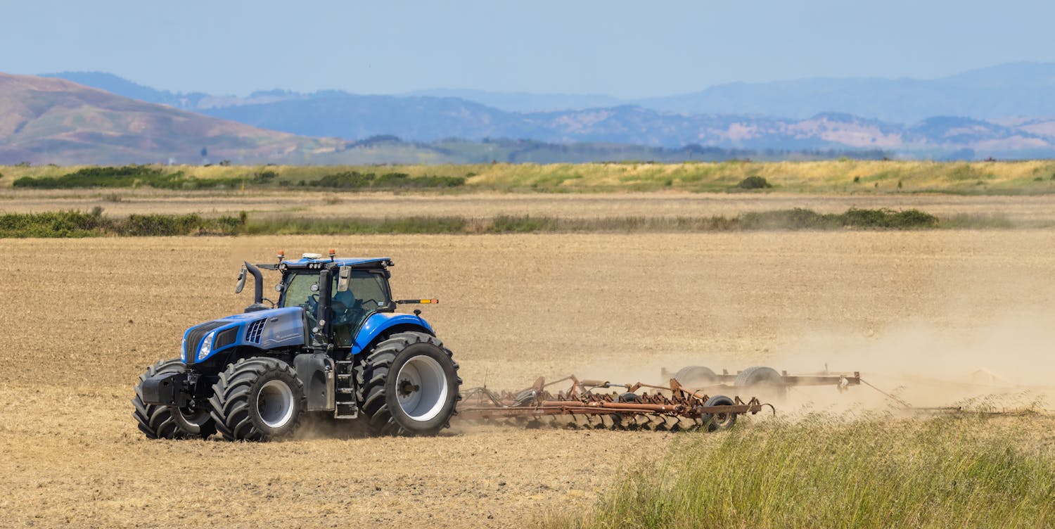 Mulching equipment working through dense brush