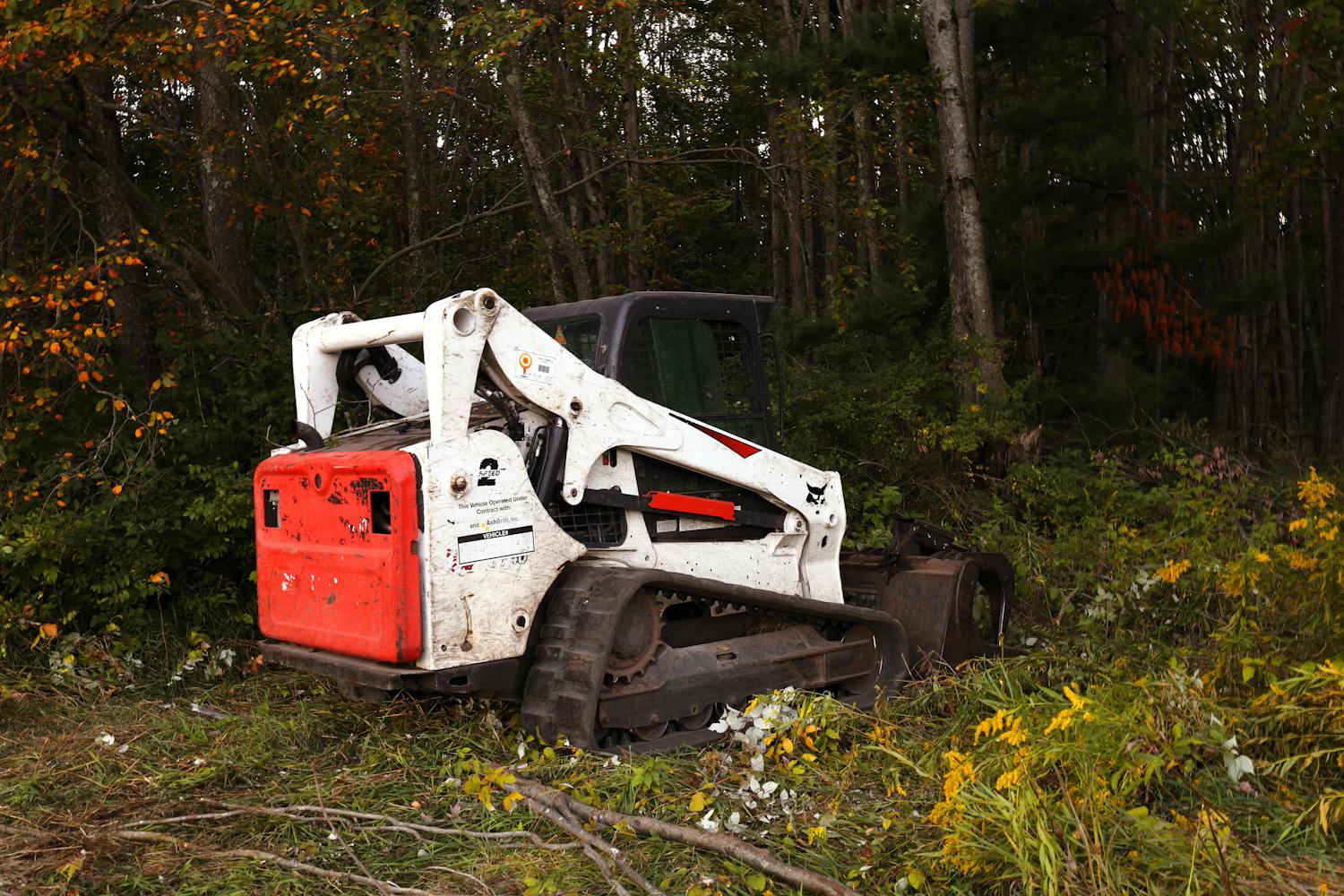 Forestry mulching in Orange County