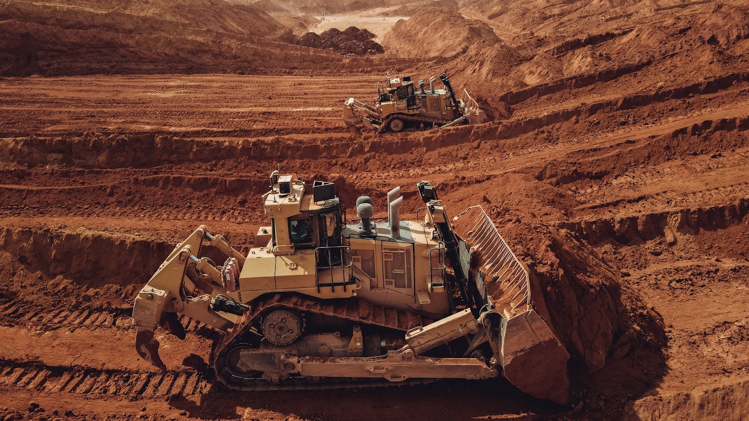 Palmetto clearing project